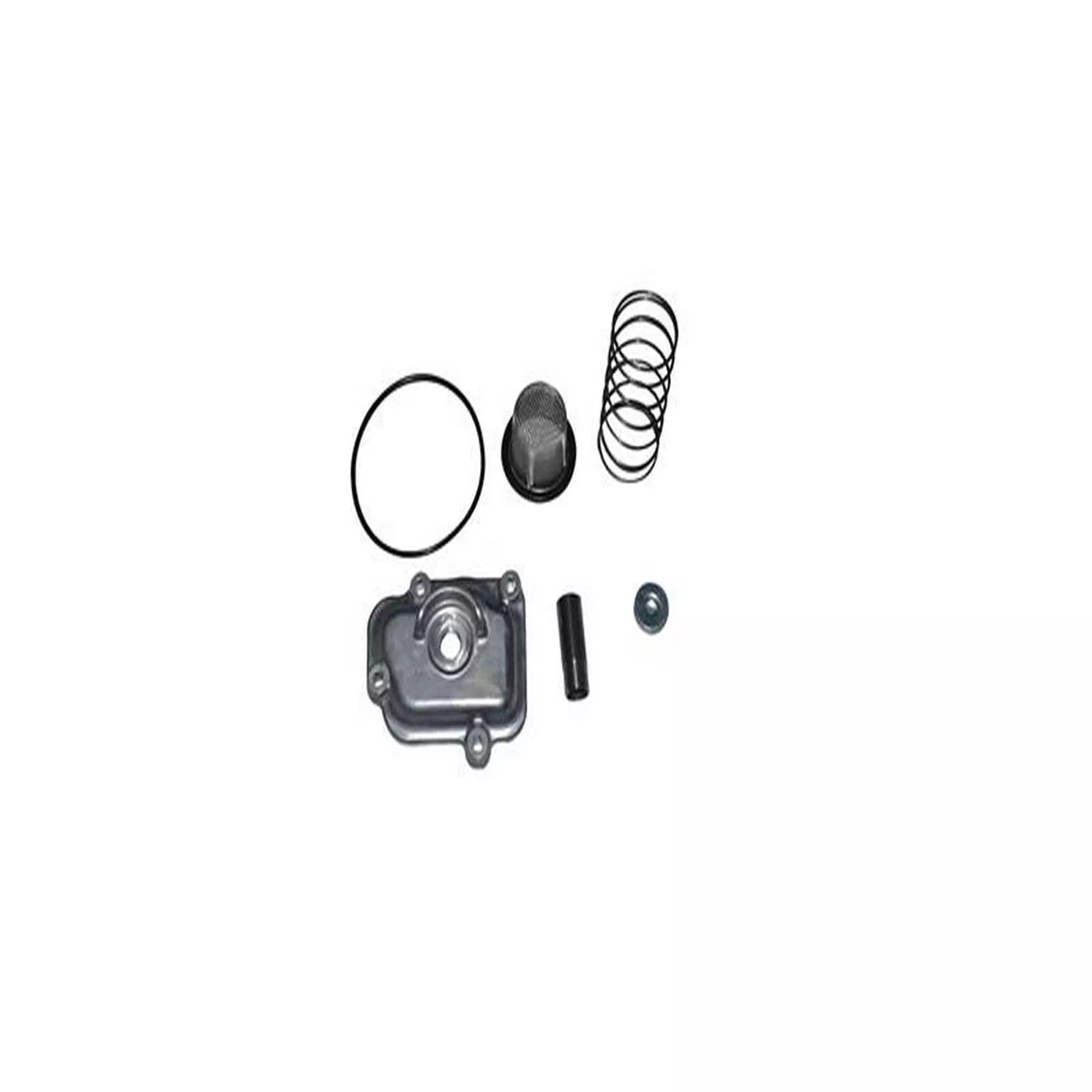 SEGWAY SNARLER 570 YAĞ SÜZGECİ VE KAPAĞI TAKIM #KM 78269